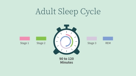 Sleep cycles - Owlet Content